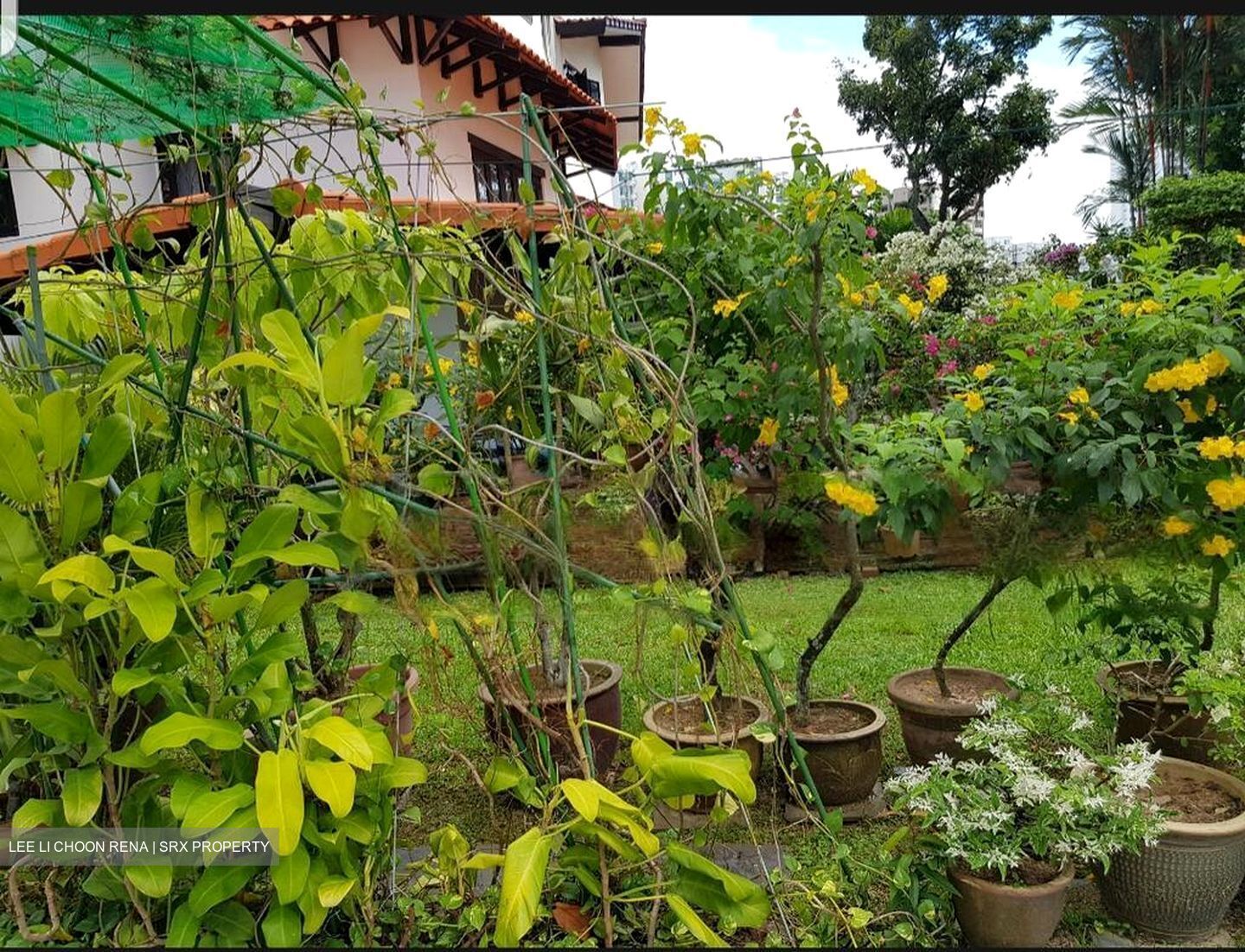 Raffles Park (D11), Detached #461165381